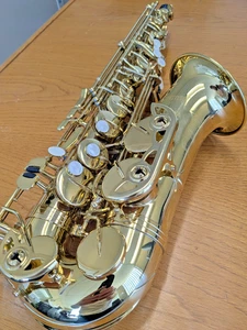 Selmer Saxophone - Picture 1 of 16
