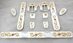 Vegas 11 Piezas Placa de Plata Piedras Rojas Halter Set Hebillas Hansen Caballo - Imagen 1 de 2