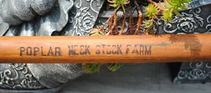 ANTIKE WERBUNG VOLKSKUNST GEBOGENES HOLZ STOCK PAPPEL HALS BAUERNHOF MARYLAND - Bild 1 von 7