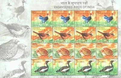 India 2006 Endangered Birds Fauna Animals Mixed sheetlet MNH - Image 1 of 3