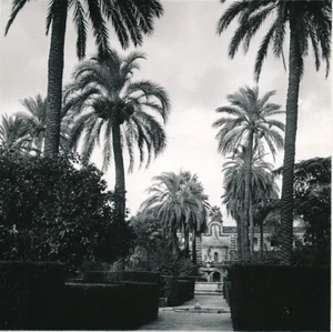 SEVILLE c. 1950 - L'Alcazar Espagne - NV 7224 - Picture 1 of 2