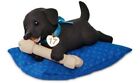 Hallmark 2017 Playful Puppy Surprise Ornament "BLACK DOG ONLY"
