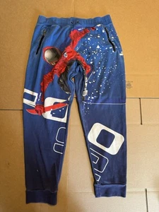 Polo Ralph Lauren Alpine Suicide Ski 92 Jogger Sweatpants Snow Beach Bear Sz L - Picture 1 of 9