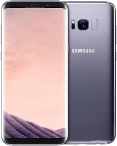Samsung Galaxy S8+ G955F/DS Grey 64GB 6.2" Octa-core Android Phone ByFedEx - Picture 1 of 1