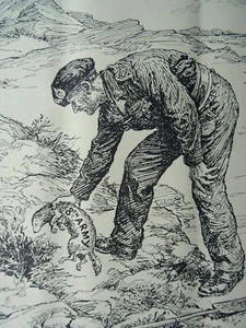 1943 Original Print WW2 MONTGOMERY - 8TH ARMY THE DESERT FERRET - DESERT RAT - Picture 1 of 2