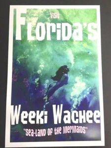 WEEKI WACHEE! Florida Mermaids 12x18 Print by Mike Hoffman! - Picture 1 of 1