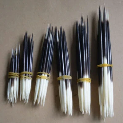 10pcs Porcupine Quills Hair Stick Weaving Beading Jewelry Craft DIY Fish Float - Image 1 of 4