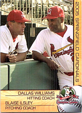 2005 Multi-Ad  Springfield Cardinals Minor League Baseball #30 Wiliams Ilsley