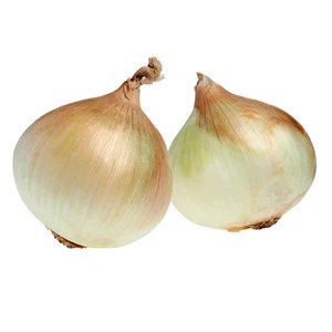 ORGANIC ONION WALLA WALLA 600 SEEDS - Picture 1 of 4