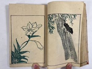 Japanese Woodblock Print Book “Keisai Rokuga vol.2” Kitao Masayoshi 1842 Vintage - Picture 1 of 21