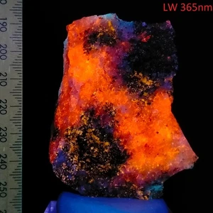 Hackmanite & Scapolite fluorescent long wave flat specimen Bancroft Canada 350ct - Picture 1 of 9