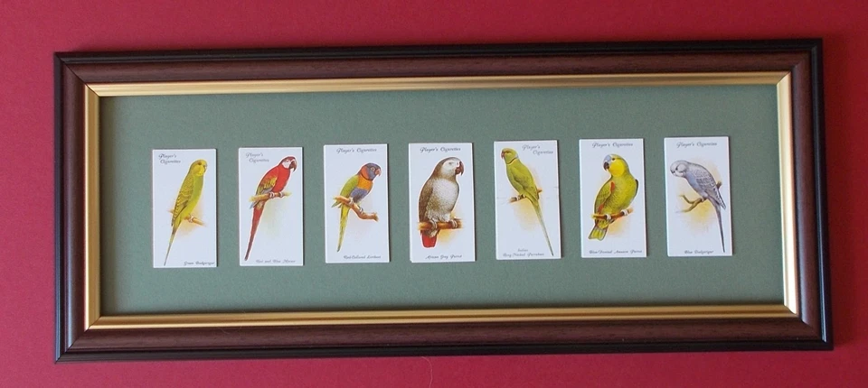 AVIARY & CAGE BIRDS FRAMED  X 7 - Image 1 of 1