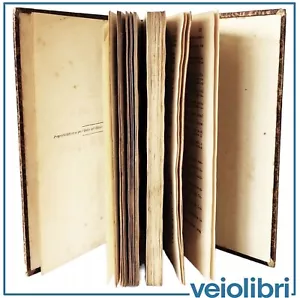 Il Bagno di Tolone Libro antico 1878 Sonzogno Ponson du Terrail - Foto 1 di 11