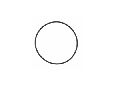 Junta de bomba de agua Panoz Esperante 2001-2007 93183ZQ 2002 2003 2004 2005 2006 Foto 1 de 2