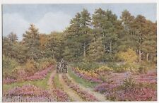 A.R. Quinton, Pine Trees & Heather nr. Brockenhurst Salmon 2873 Postcard, B545