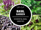 Basil Seed Collection - 6 Varieties - Heirloom - Non-GMO