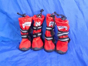 ZAPATOS PETRICH URBEST PERRO x4 Wat...Ahora Invierno Botines Altos Reflectantes Rojo XS - Imagen 1 de 5