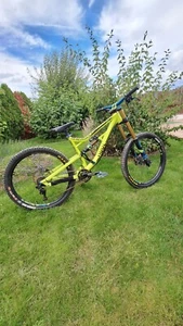Downhill Rose Soulfire Custum - Bild 1 von 6