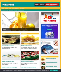 Vitamin Supplements Website Business For Sale: Ready-to-Launch Free Installation - Picture 1 of 3