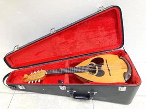 Mandolina Suzuki M-100 con estuche - Imagen 1 de 15