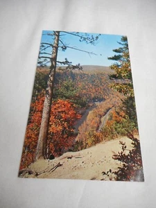 Cartolina d'epoca non spedita Grand Canyon Pennsylvania autunno natura anni 50 - Foto 1 di 2