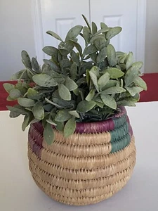 African Wicker Vintage Basket with Potted Removable Eucalyptus Type Plant EUC - Picture 1 of 15