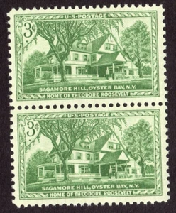 Scott #1023 Sagamore Hill Theodore Roosevelt Pair of Stamps - MNH - Picture 1 of 1