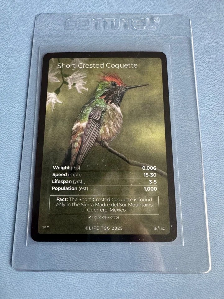 LIFE TCG Birds (Full Arts) - Image 1 of 1