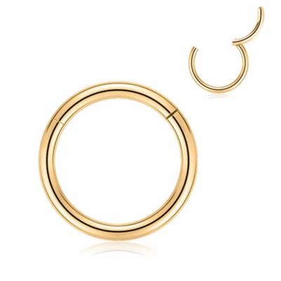 Surgical Steel Hinged Segment Hoop Ring Sleeper Lip Ear Nose Body Piercing 1PC - Image 1 of 4