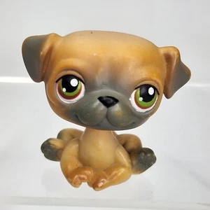 Littlest Pet Shop Mops Hund grüne Augen LPS - Bild 1 von 6
