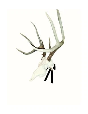 Deer Positioner Wall Mount 9'' x 2.3'' x 2'' High Quality Metal ‎0.48 LBS Black - Image 1 of 2