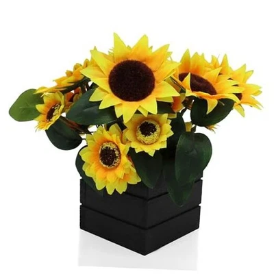  con Jarrón de Madera Real y Hojas Verdes en Caja de Madera Negra para Hogar Girasol Foto 1 de 2