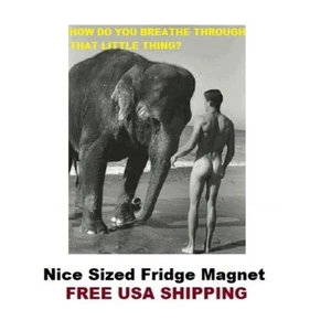 651 - Divertente magnete da frigorifero Elephant Man Dick meme - Foto 1 di 1