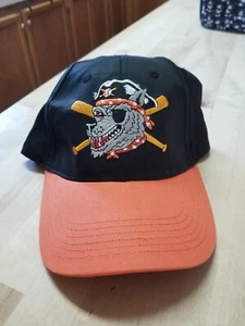 NWOT ERIE SEAWOLVES HAT ONE SIZE YOUTH SGA - Picture 1 of 2