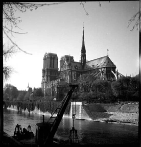 Paris Cathédrale Notre-Dame Grue Arbre branches - ancien négatif photo an. 1950 - Imagen 1 de 1