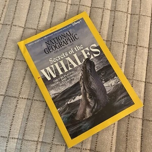 National Geographic Magazin Mai 2021 Die Ozeanausgabe Geheimnisse der Wale - Bild 1 von 6