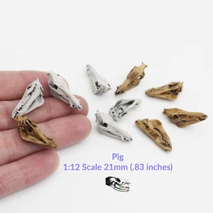 Pig Skull - 1:12 Scale Miniature for Dollhouse, Diorama, Art Supplies (5 skulls) - Picture 1 of 6