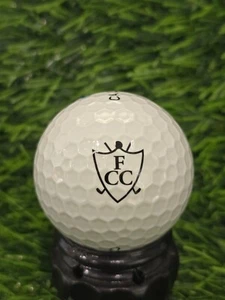 Fayetteville Country Club Logo Golf Ball - Picture 1 of 2