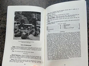 OTTER HOUND HOUNDS HUNTING DOGS CRUFTS HISTORY HUNTS RARE  - Picture 1 of 1
