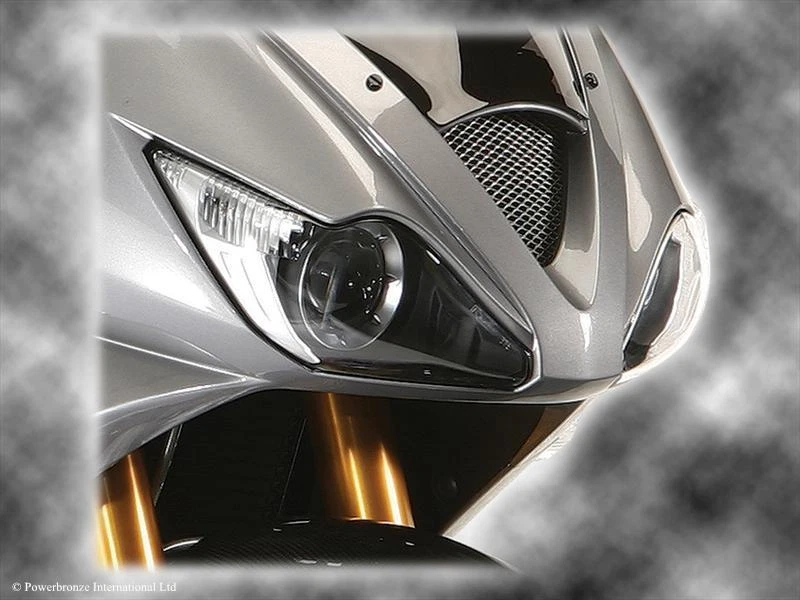 PROTECTOR DE FAROS TRIUMPH DAYTONA 675 06-08/TINTE OSCURO Foto 1 de 1