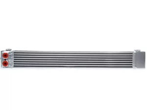 CSF 2001-2006 BMW M3 S54 E46 DUAL PASS RACE SPEC ENGINE OIL COOLER ALUMINUM - Foto 1 di 3
