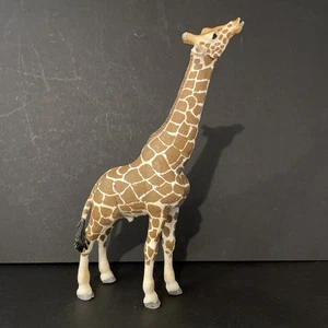 Schleich adulto maschio giraffa 7" animale figura che mangia 2008 ritirato 14389 fauna selvatica - Foto 1 di 8