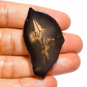 Natural Septarian Gronates Loose Gemstone Fancy Slice 38.50 Cts 42X23X5 mm - Picture 1 of 6