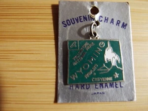 Vintage Wyoming Cloisonné Hard Enamel State Charm Souvenir Map Pendant VG+ - Picture 1 of 4