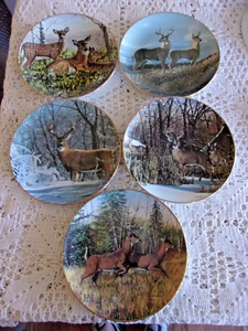 Danbury Mint ‘FRIENDS OF THE FOREST” DEER Collector Plates Bruce Miller Lot of 5 - Picture 1 of 7