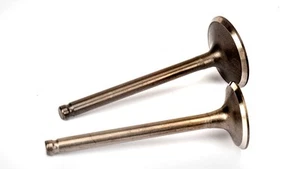 Inlet and Exhaust Valves - YX140 - Picture 1 of 1