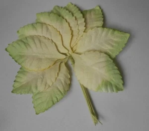 PACK 10 HOJAS 45MM LIMÓN Y VERDE IDEALES PARA MANUALIDADES-PASTELES-BODAS - Imagen 1 de 1