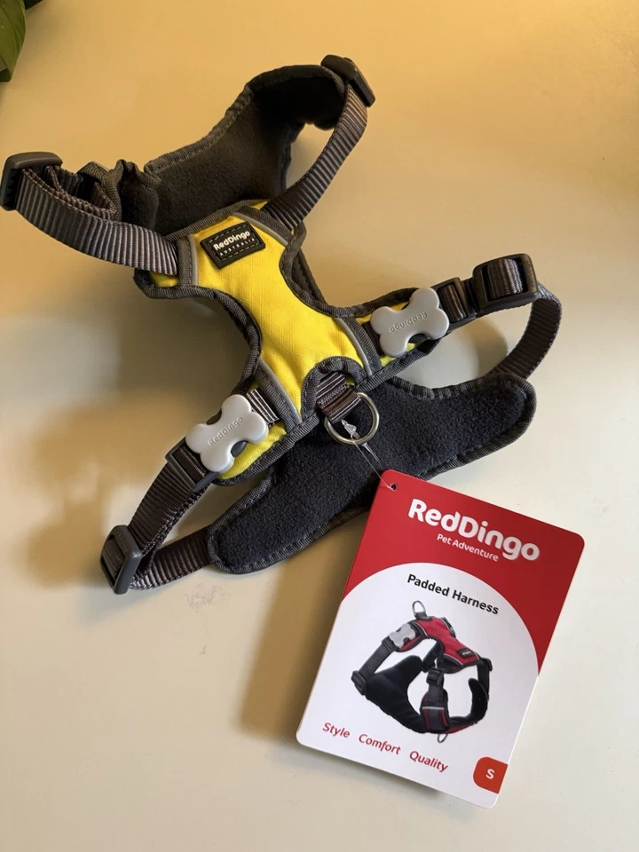 Красный Динго с подкладкой собаки ремень размер маленький новый с ярлыками - Изображение 1 из 3