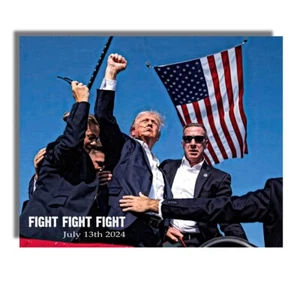 Donald Trump Fight Fight Fight 13. Juli 2024 16x20 Aluminium Wandkunst - Bild 1 von 3