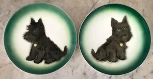 Plato de coleccionista pintado a mano Coronet Scottish Black Terrier perro de colección - par de 2 - Imagen 1 de 6
